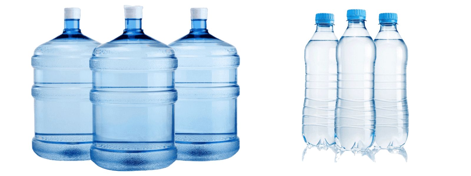 Public Should Avoid Reusing Plastic Water Bottles